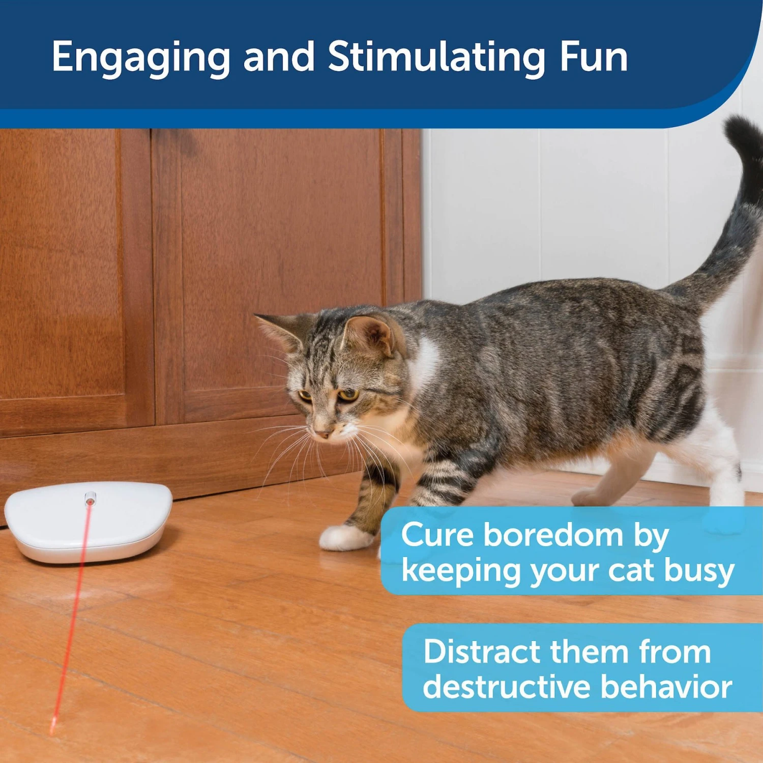 PetSafe Laser Tail Laser Cat Toy 4 PetSafe Laser Tail Laser Cat Toy - Image 4
