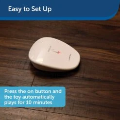 PetSafe Laser Tail Laser Cat Toy 13 PetSafe Laser Tail Laser Cat Toy -Wellness Sales Store 159065 PT5. AC SS1800 V1599844261