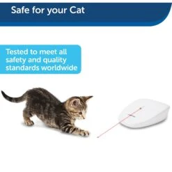 PetSafe Laser Tail Laser Cat Toy 14 PetSafe Laser Tail Laser Cat Toy -Wellness Sales Store 159065 PT6. AC SS1800 V1599844269