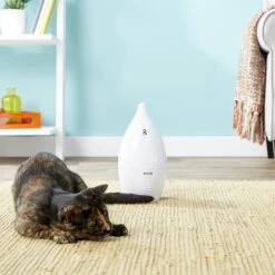 PetSafe Zoom Rotating Laser Cat Toy 10 PetSafe Zoom Rotating Laser Cat Toy -Wellness Sales Store 159067 PT2. AC SS1800 V1558467440