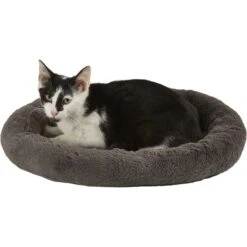Frisco Self Warming Bolster Round Kitten Bed -Wellness Sales Store 165315 PT2. AC SS1800 V1568211141