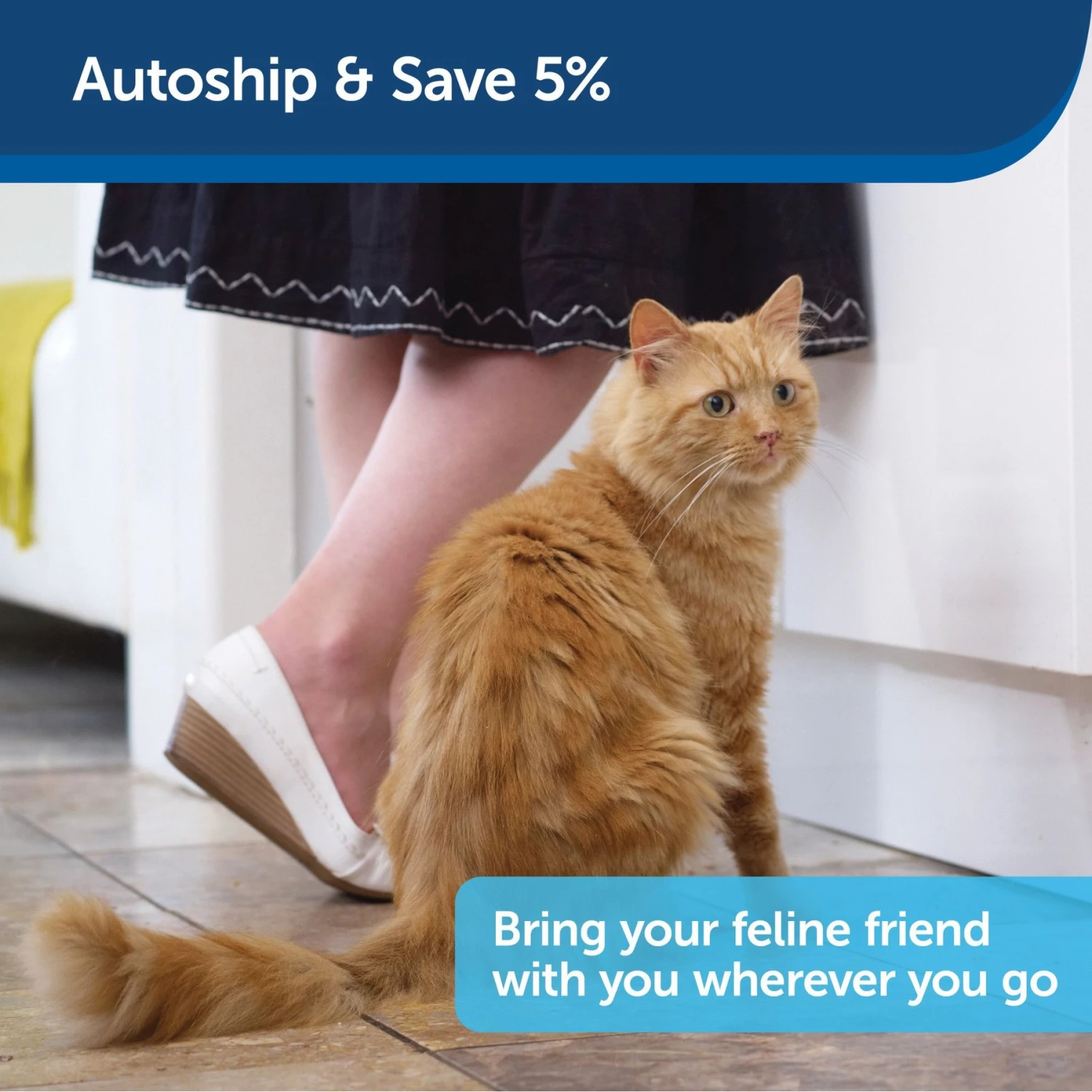 PetSafe Disposable Collapsible Litter Box With ScoopFree Crystal Litter 5 PetSafe Disposable Collapsible Litter Box With ScoopFree Crystal Litter - Image 5