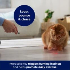 Frisco 2-in-1 Laser & LED Light Laser Cat Toy -Wellness Sales Store 166309 PT3. AC SS1800 V1686579688