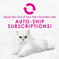 Fancy Feast Savory Centers Salmon Canned Cat Food 16 Fancy Feast Savory Centers Salmon Canned Cat Food -Wellness Sales Store 169573 PT7. AC SS1800 V1560794569