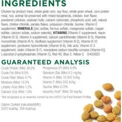 Cat Chow Indoor Hairball & Healthy Weight Dry Cat Food -Wellness Sales Store 173768 PT4. AC SS1800 V1695736872