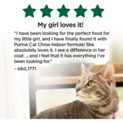 Cat Chow Indoor Hairball & Healthy Weight Dry Cat Food -Wellness Sales Store 173768 PT5. AC SS1800 V1695744332