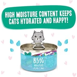 BFF OMG Tell Me! Tuna & Turkey Flavor Wet Canned Cat Food -Wellness Sales Store 182255 PT3. AC SS1800 V1647914237