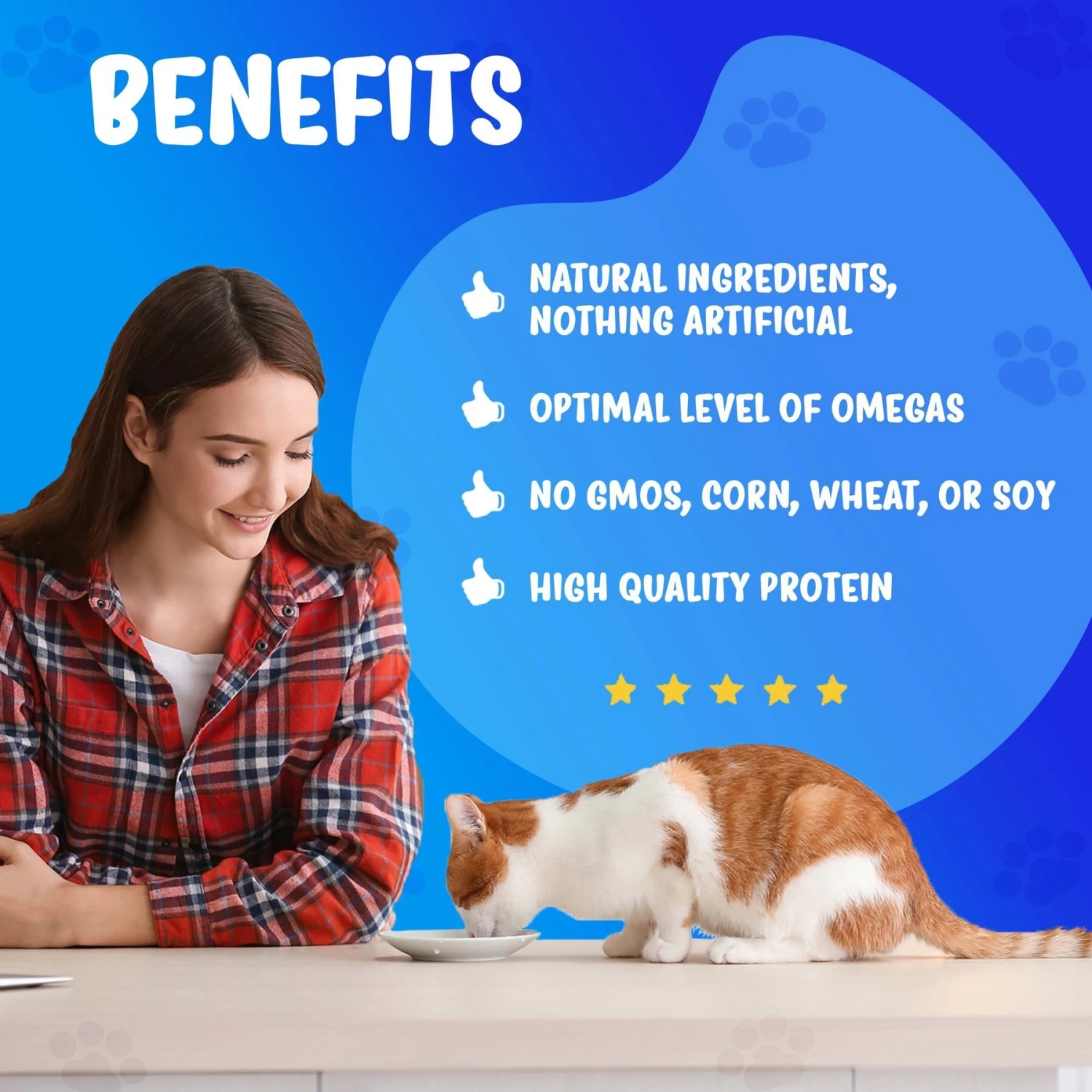 Forza10 Nutraceutic ActiWet Dermo Support Icelandic Fish Recipe Canned Cat Food 4 Forza10 Nutraceutic ActiWet Dermo Support Icelandic Fish Recipe Canned Cat Food - Image 4