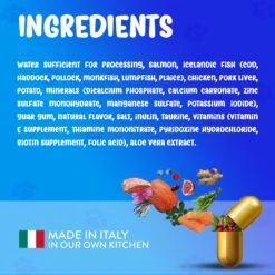 Forza10 Nutraceutic ActiWet Dermo Support Icelandic Fish Recipe Canned Cat Food 13 Forza10 Nutraceutic ActiWet Dermo Support Icelandic Fish Recipe Canned Cat Food -Wellness Sales Store 183199 PT4. AC SS1800 V1643740610