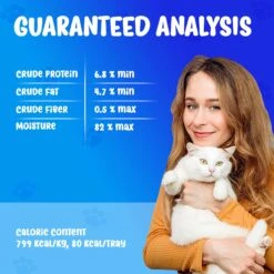 Forza10 Nutraceutic ActiWet Dermo Support Icelandic Fish Recipe Canned Cat Food 14 Forza10 Nutraceutic ActiWet Dermo Support Icelandic Fish Recipe Canned Cat Food -Wellness Sales Store 183199 PT5. AC SS1800 V1643741833