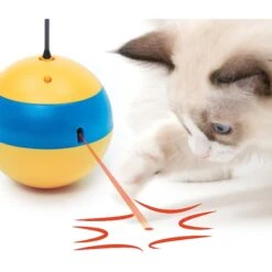 Catit Play Spinning Bee Interactive Cat Toy 10 Catit Play Spinning Bee Interactive Cat Toy -Wellness Sales Store 191568 PT4. AC SS1800 V1628229413