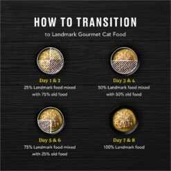 American Journey Landmark Salmon Recipe In Broth Grain-Free Canned Cat Food, 3-oz, Case Of 12 -Wellness Sales Store 193500 PT7. AC SS1800 V1582124305