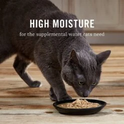 American Journey Landmark Tuna & Tilapia Recipe In Broth Grain-Free Canned Cat Food, 3-oz, Case Of 12 -Wellness Sales Store 193502 PT5. AC SS1800 V1582044269