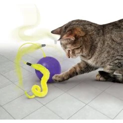 KONG Purrsuit Whirlwind Cat Toy -Wellness Sales Store 209632 PT2. AC SS1800 V1631766473