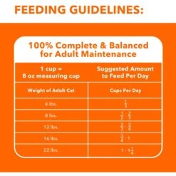 Iams Proactive Health Sensitive Digestion & Skin Turkey Dry Cat Food -Wellness Sales Store 213075 PT6. AC SS1800 V1609949350