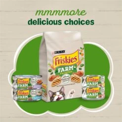 Friskies Farm Favorites Chicken & Carrots & Salmon & Spinach Pate Wet Cat Food Variety Pack, 5.5-oz Can, Case Of 24 -Wellness Sales Store 214337 PT4. AC SS1800 V1700160505