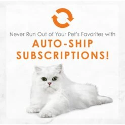 Fancy Feast Medleys White Meat Chicken Recipe With Carrots & Spinach Canned Cat Food, 3-oz Can, Case Of 24 17 Fancy Feast Medleys White Meat Chicken Recipe With Carrots & Spinach Canned Cat Food, 3-oz Can, Case Of 24 -Wellness Sales Store 214811 pt8. AC SS1800 V1576853347