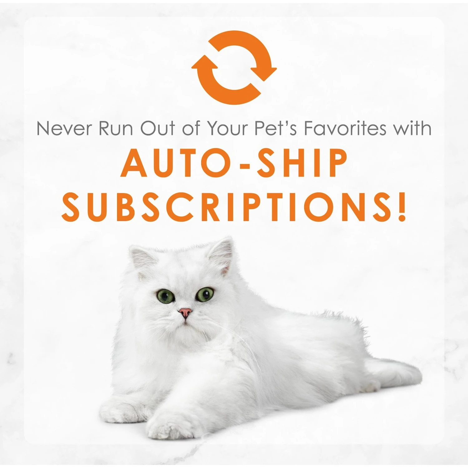 Fancy Feast Medleys White Meat Chicken Recipe With Carrots & Spinach Canned Cat Food, 3-oz Can, Case Of 24 9 Fancy Feast Medleys White Meat Chicken Recipe With Carrots & Spinach Canned Cat Food, 3-oz Can, Case Of 24 - Image 9