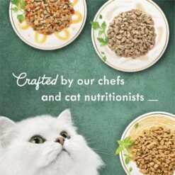 Fancy Feast Medleys Poultry Collection With Garden Greens In Sauce Variety Pack Canned Cat Food, 3-oz Can, Case Of 30 -Wellness Sales Store 215045 PT4. AC SS1800 V1683819406