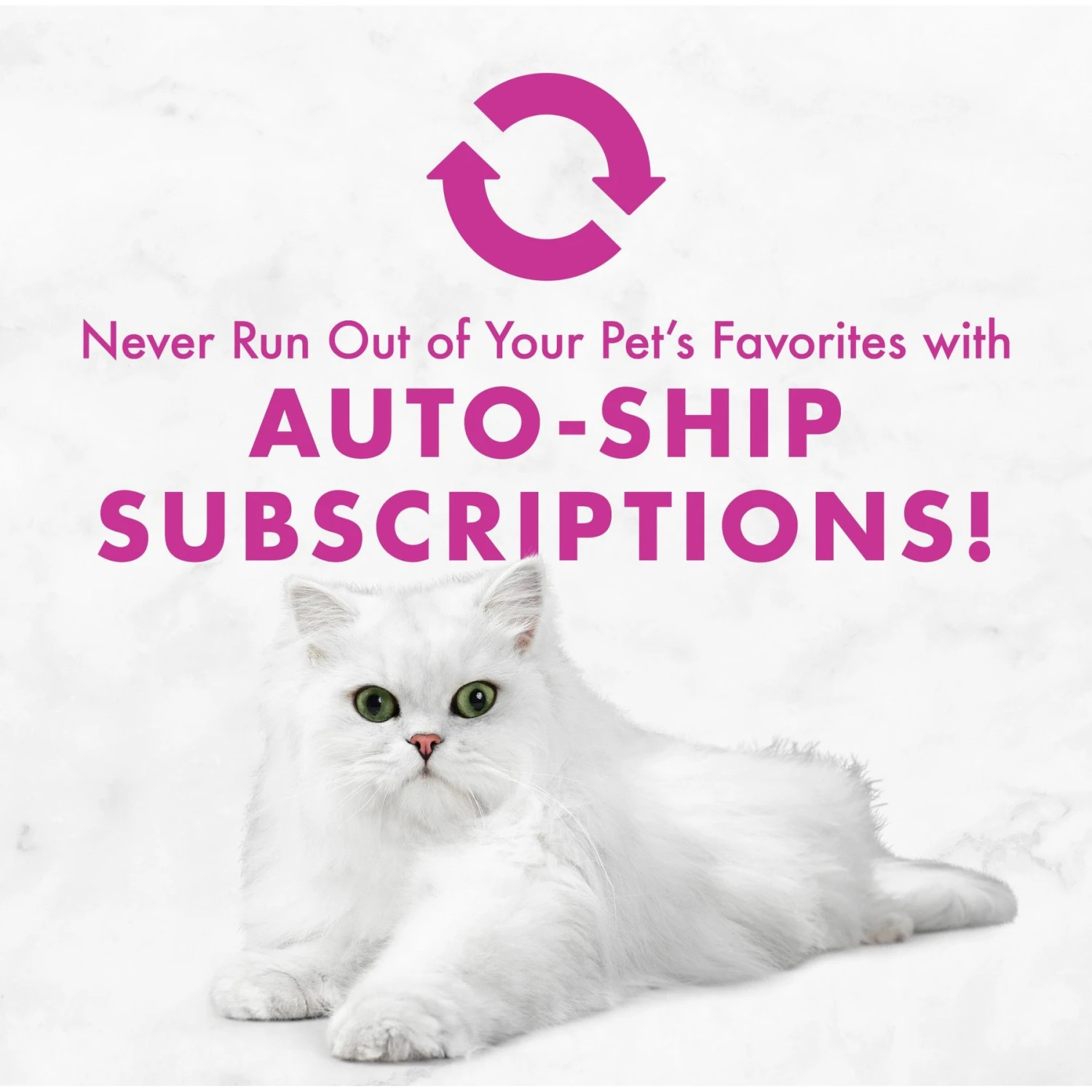 Fancy Feast Classic Pate Chicken Feast Grain-Free Pate Canned Cat Food, 3-oz Can, Case Of 24 9 Fancy Feast Classic Pate Chicken Feast Grain-Free Pate Canned Cat Food, 3-oz Can, Case Of 24 - Image 9