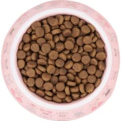 Frisco Pink Cute Cats Melamine Bowl -Wellness Sales Store 216043 PT4. AC SS1800 V1591020694