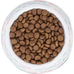 Frisco Colorful Fish Melamine Bowl -Wellness Sales Store 216047 PT4. AC SS1800 V1591020721