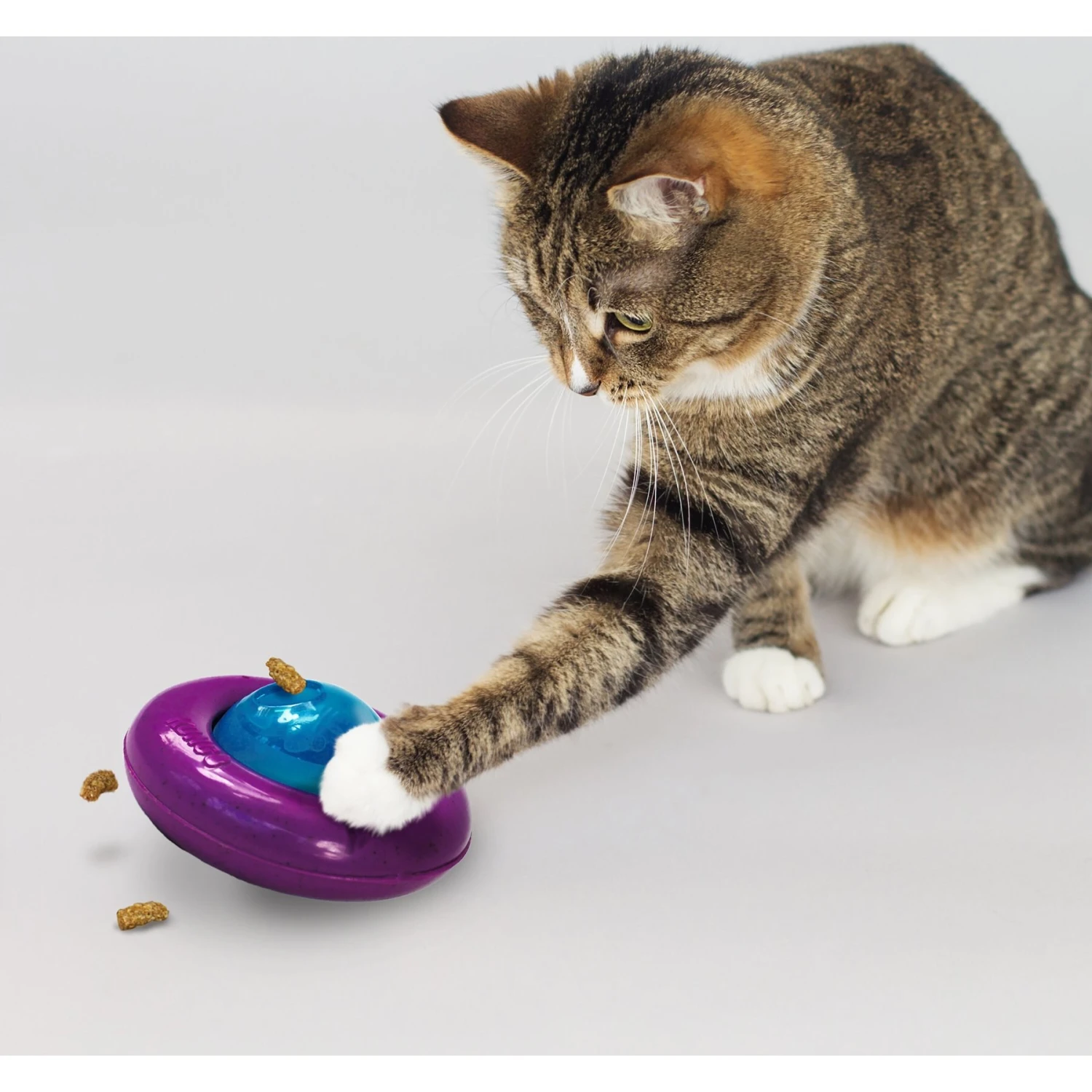 KONG Infused Cat Gyro Cat Toy 3 KONG Infused Cat Gyro Cat Toy - Image 3