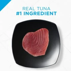 Purina Pro Plan Focus Sensitive Skin & Stomach Tuna & Oat Meal Entree Canned Cat Food, 3-oz Can, Case Of 24 -Wellness Sales Store 223356 PT2. AC SS1800 V1583244508