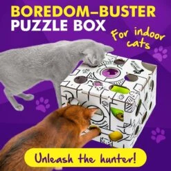 Cat Amazing Sliders Interactive Treat Maze & Puzzle Cat Toy -Wellness Sales Store 225050 PT2. AC SS1800 V1583528887