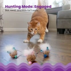 Catstages Mousin' Around Hide 'N Treat Dispenser Cat Toy, 3 Count 7 Catstages Mousin' Around Hide 'N Treat Dispenser Cat Toy, 3 Count -Wellness Sales Store 227096 PT2. AC SS1800 V1636513396