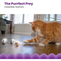 Catstages Mousin' Around Hide 'N Treat Dispenser Cat Toy, 3 Count 8 Catstages Mousin' Around Hide 'N Treat Dispenser Cat Toy, 3 Count -Wellness Sales Store 227096 PT3. AC SS1800 V1636516682