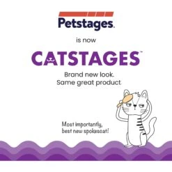 Nina Ottosson By Outward Hound Buggin' Out Puzzle & Play Cat Toy -Wellness Sales Store 227098 PT6. AC SS1800 V1636522300