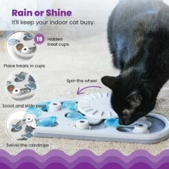 Nina Ottosson By Outward Hound Rainy Day Puzzle & Play Cat Toy -Wellness Sales Store 227102 PT2. AC SS1800 V1636499789