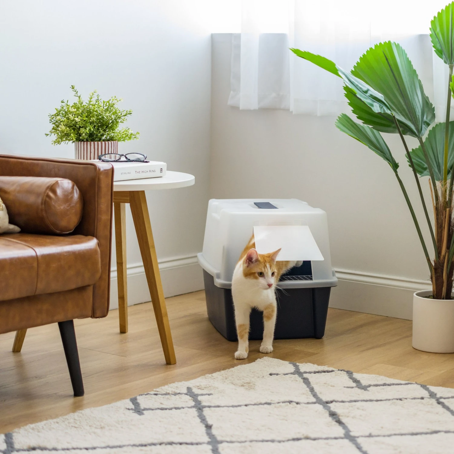 IRIS USA Enclosed With Front Door Flap & Scoop Cat Litter Box 6 IRIS USA Enclosed With Front Door Flap & Scoop Cat Litter Box - Image 6