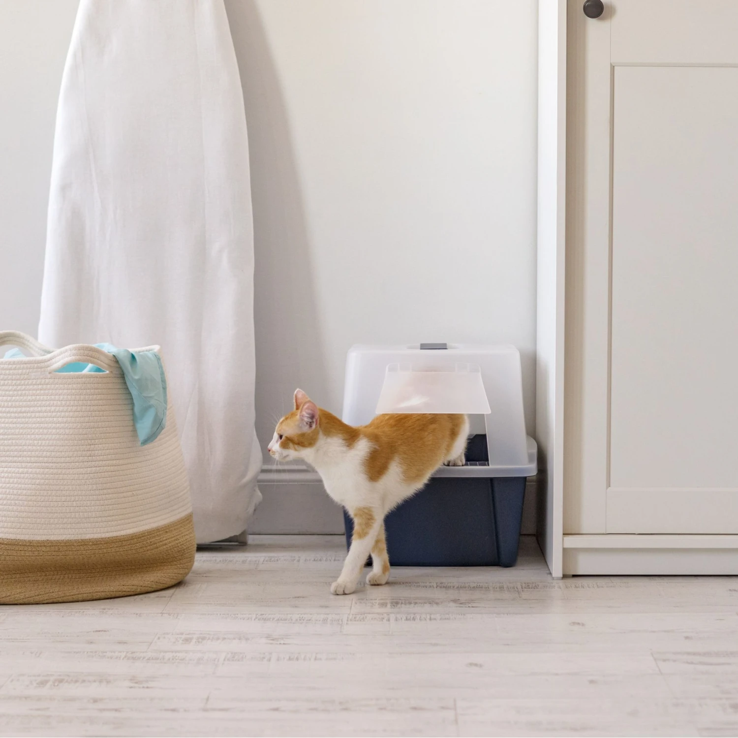 IRIS USA Enclosed With Front Door Flap & Scoop Cat Litter Box 7 IRIS USA Enclosed With Front Door Flap & Scoop Cat Litter Box - Image 7