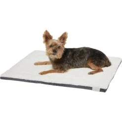 Frisco Self Warming Pillow Rectangular Pet Bed -Wellness Sales Store 232177 PT2. AC SS1800 V1600351596
