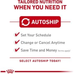 Royal Canin Feline Health Nutrition Indoor Adult Morsels In Gravy Canned Cat Food -Wellness Sales Store 234020 PT4. AC SS1800 V1697760102