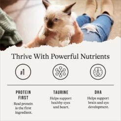 American Journey Kitten Minced Chicken Recipe in Gravy Grain-Free Canned Cat Food, 3-oz, Case Of 24 -Wellness Sales Store 242874 PT5. AC SS1800 V1689951401