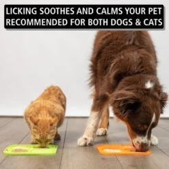 Hyper Pet IQ Rewards Cat & Dog Slow Feeder 9 Hyper Pet IQ Rewards Cat & Dog Slow Feeder -Wellness Sales Store 258929 PT2. AC SS1800 V1605883620