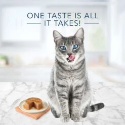 Blue Buffalo Tastefuls Chicken Entrée Pate Wet Cat Food -Wellness Sales Store 264540 PT2. AC SS1800 V1630731368