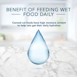 Blue Buffalo Tastefuls Chicken Entrée Pate Wet Cat Food -Wellness Sales Store 264540 PT5. AC SS1800 V1630732887