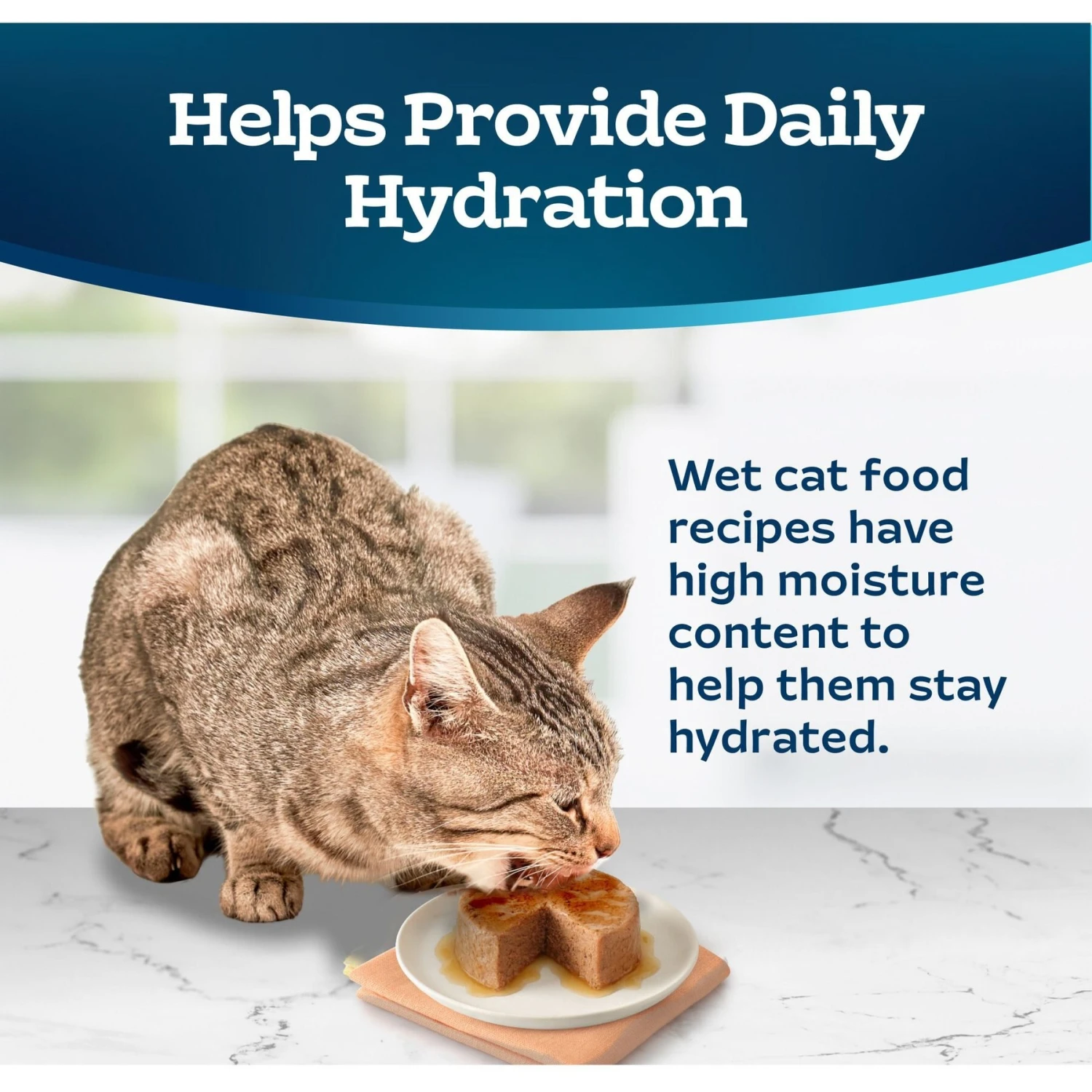 Blue Buffalo Tastefuls Turkey & Chicken Entrée Pate Wet Cat Food 7 Blue Buffalo Tastefuls Turkey & Chicken Entrée Pate Wet Cat Food - Image 7