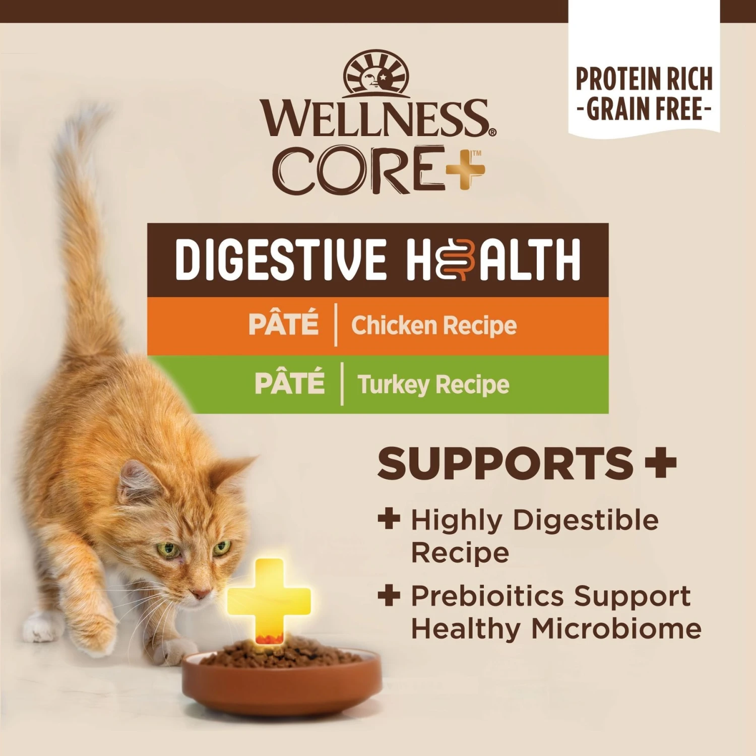Wellness CORE Digestive Health Chicken & Turkey Pate Variety Pack Grain-Free Wet Cat Food 3 Wellness CORE Digestive Health Chicken & Turkey Pate Variety Pack Grain-Free Wet Cat Food - Image 3