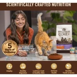 Wellness CORE Digestive Health Chicken & Turkey Pate Variety Pack Grain-Free Wet Cat Food 12 Wellness CORE Digestive Health Chicken & Turkey Pate Variety Pack Grain-Free Wet Cat Food -Wellness Sales Store 264904 PT4. AC SS1800 V1608692275