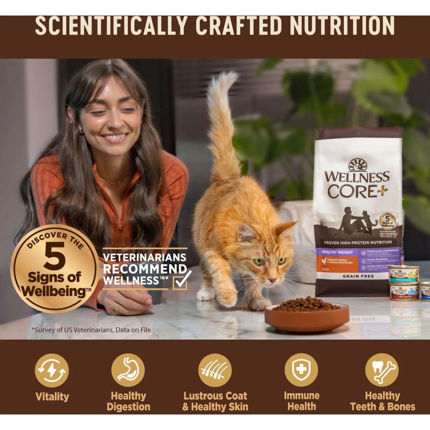Wellness CORE Digestive Health Chicken & Turkey Pate Variety Pack Grain-Free Wet Cat Food 5 Wellness CORE Digestive Health Chicken & Turkey Pate Variety Pack Grain-Free Wet Cat Food - Image 5