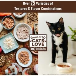 Wellness CORE Digestive Health Chicken & Turkey Pate Variety Pack Grain-Free Wet Cat Food 13 Wellness CORE Digestive Health Chicken & Turkey Pate Variety Pack Grain-Free Wet Cat Food -Wellness Sales Store 264904 PT6. AC SS1800 V1640204804