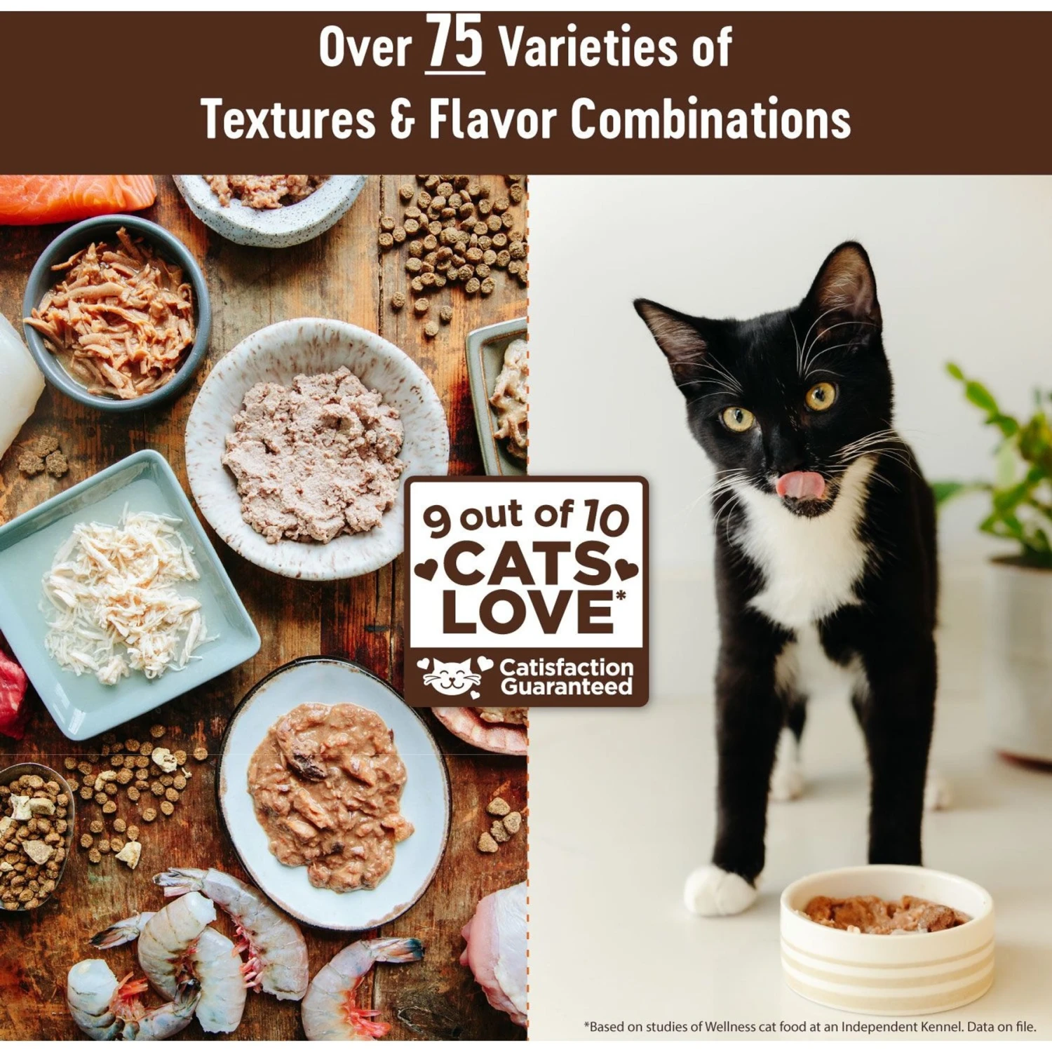 Wellness CORE Digestive Health Chicken & Turkey Pate Variety Pack Grain-Free Wet Cat Food 6 Wellness CORE Digestive Health Chicken & Turkey Pate Variety Pack Grain-Free Wet Cat Food - Image 6