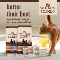 Wellness CORE Digestive Health Chicken & Turkey Pate Variety Pack Grain-Free Wet Cat Food 14 Wellness CORE Digestive Health Chicken & Turkey Pate Variety Pack Grain-Free Wet Cat Food -Wellness Sales Store 264904 PT7. AC SS1800 V1640206005