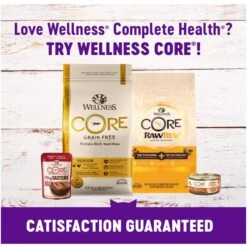 Wellness Complete Health Salmon Adult Dry Cat Food -Wellness Sales Store 265111 PT5. AC SS1800 V1636511848