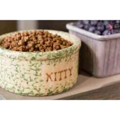 Dr. Gary's Best Breed Holistic Grain-Free All Life Stages Dry Cat Food -Wellness Sales Store 265429 PT3. AC SS1800 V1609886266